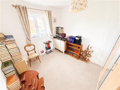 Picture 11